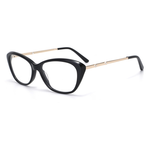 2819 Acetate Frame