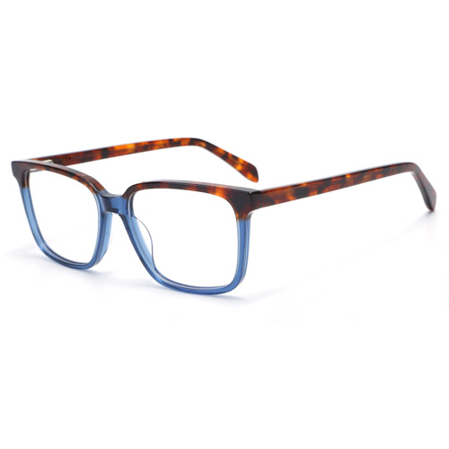 2828 Acetate Frame