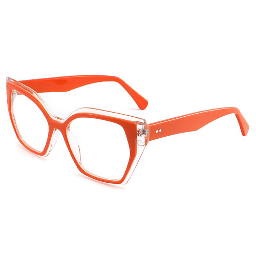 YD1189 Acetate Frame