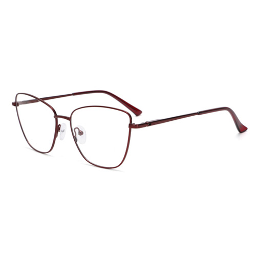 TP8995 Metal Frame