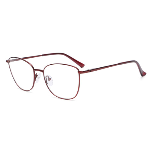 TP8998 Metal Frame