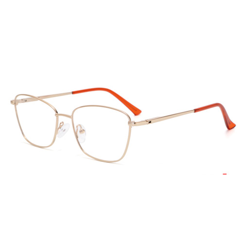 TP8999 Metal Frame