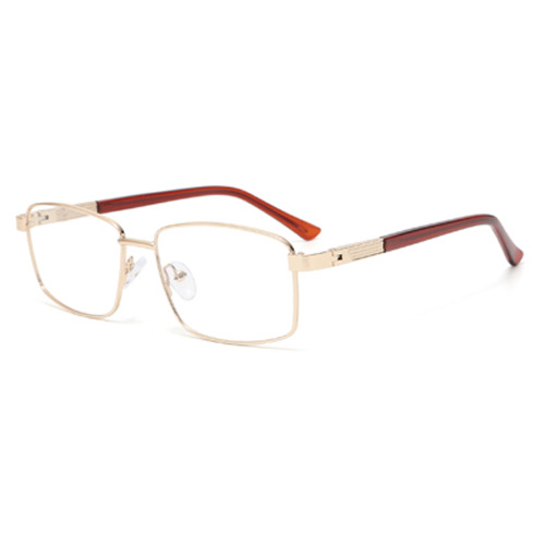 TP9003 Metal Frame