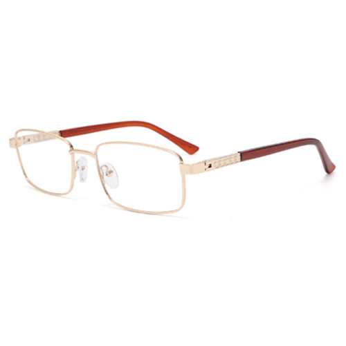 TP9009 Metal Frame