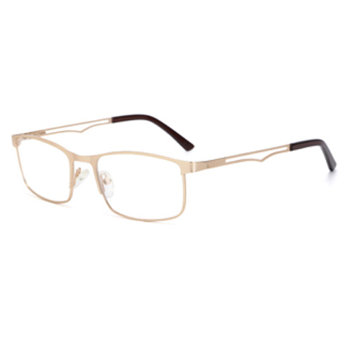 TP9018 Metal Frame