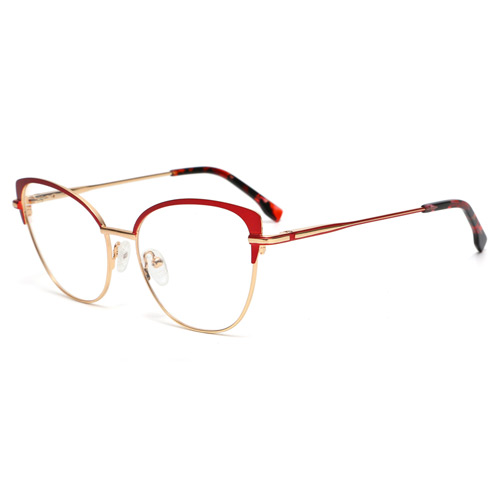 4509 Metal Frame