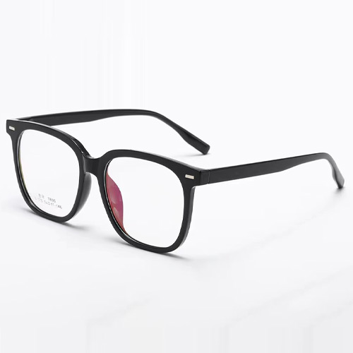 L170 TR90 Frame