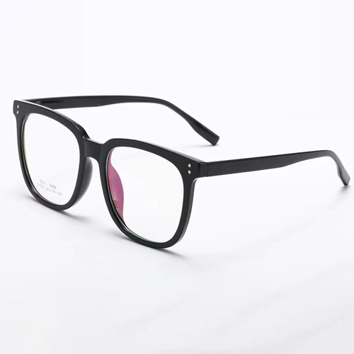 L169 TR90 Frame