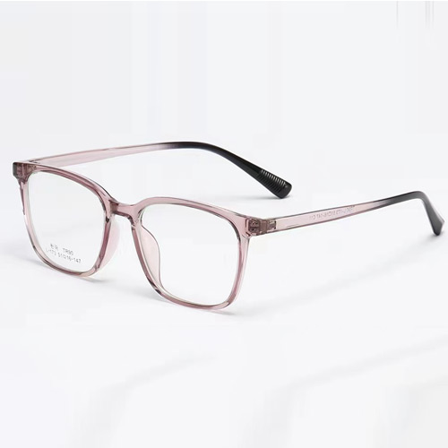 L173 TR90 Frame