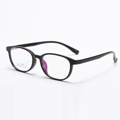 L176 TR90 Frame