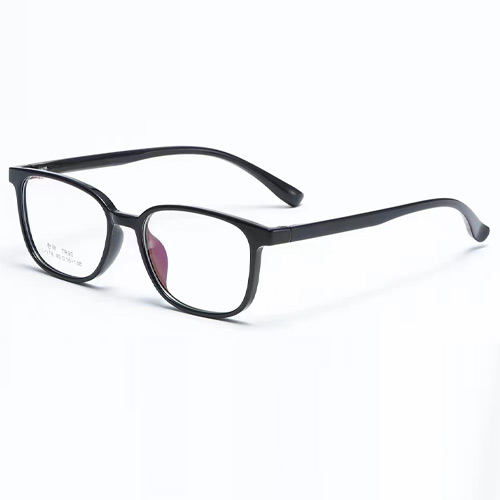 L178 TR90 Frame