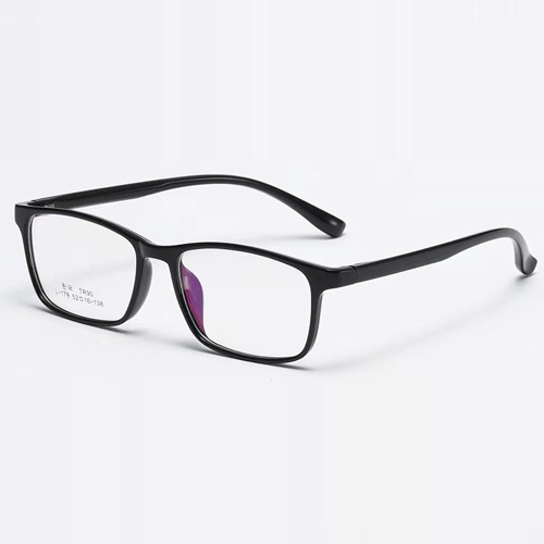L179 TR90 Frame