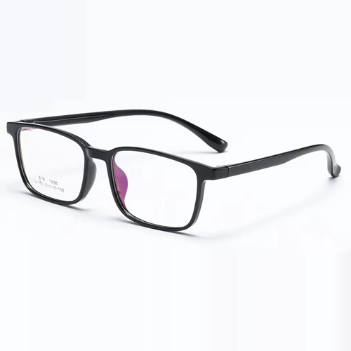 L180 TR90 Frame