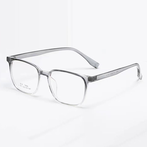 L181 TR90 Frame