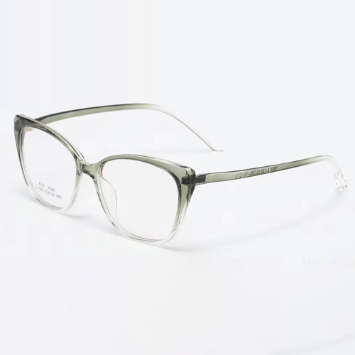 L188 TR90 Frame
