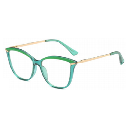 2036 TR90 Frame