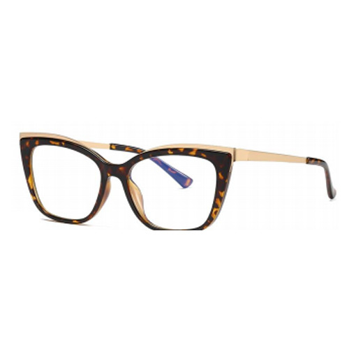 2049 TR90 Frame