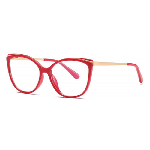 2052 TR90 Frame