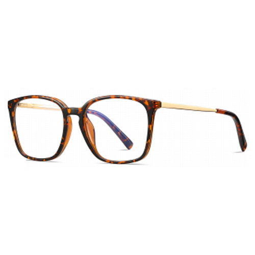 2079 TR90 Frame