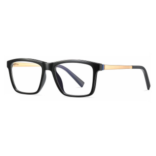 2078 TR90 Frame