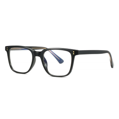 2082 TR90 Frame