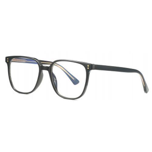 2081 TR90 Frame