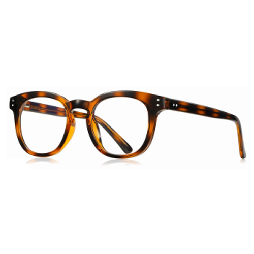 2125 TR90 Frame
