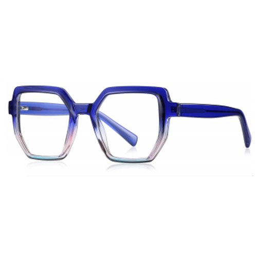 2143 TR90 Frame