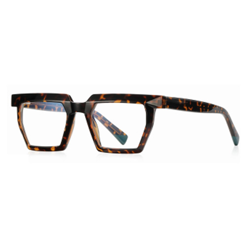 2144 TR90 Frame