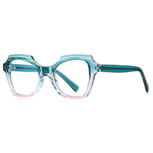 2142 TR90 Frame