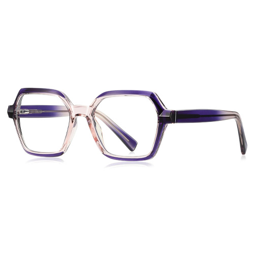 2162 TR90 Frame