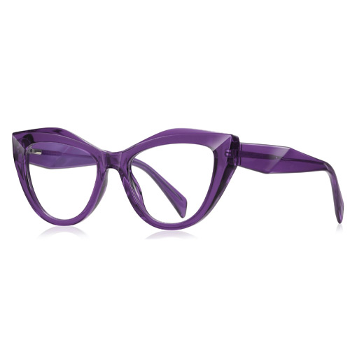 2166 TR90 Frame