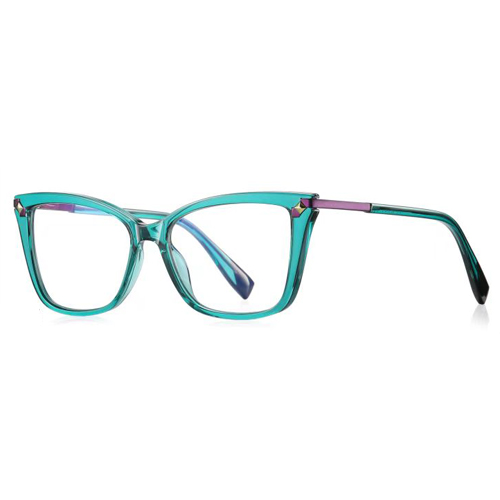 2127 TR90 Frame