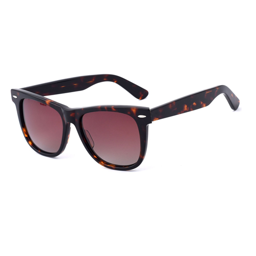 GS5812 Acetate Sunglasses