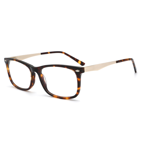 2646 Acetate Frame