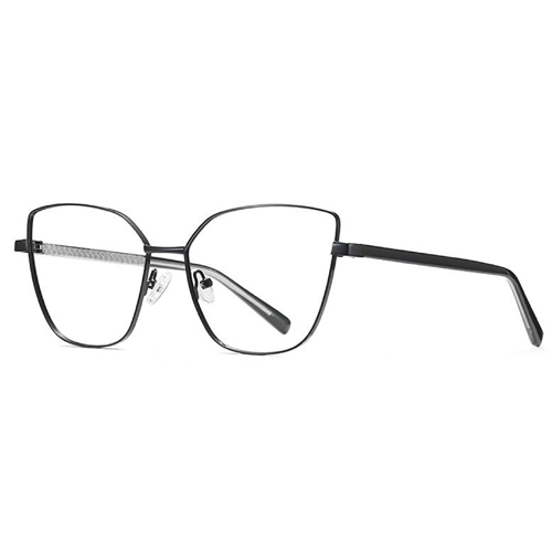3002 Metal Frame