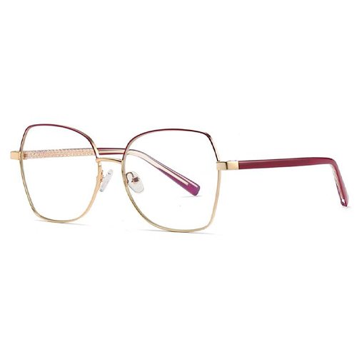 3004 Metal Frame