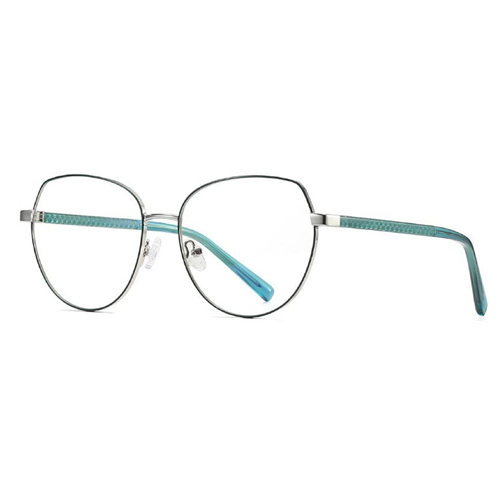 3005 Metal Frame