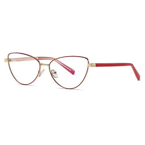 3006 Metal Frame