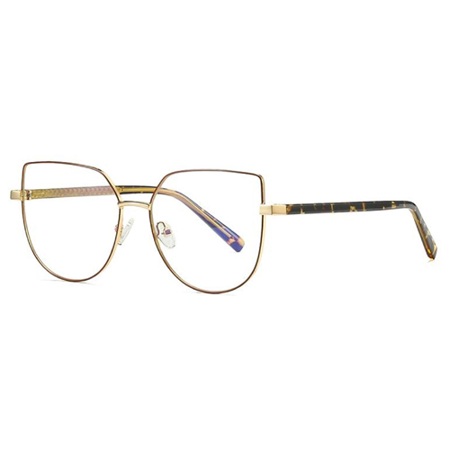 3007 Metal Frame