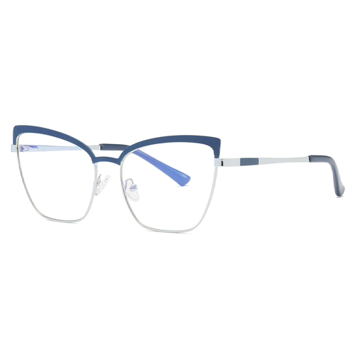 3009 Metal Frame