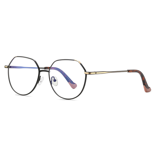 3013 Metal Frame