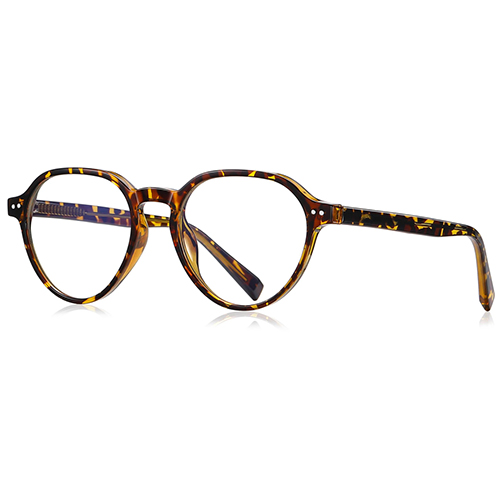 2094 TR90 Frame